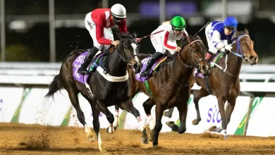Horse Racing in Saudi Arabia: Tradition of Elegance & Excitement