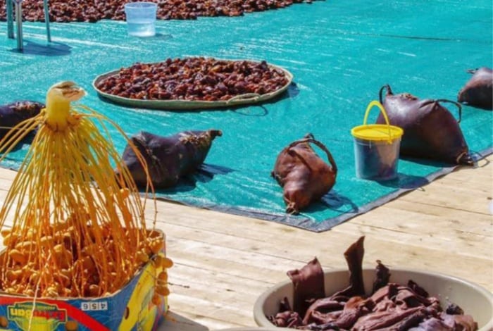 Shannah: Saudi Ancient Way to Preserve Dates