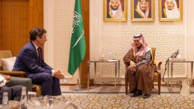 Foreign Minister Meets President of France-Gulf States Group
