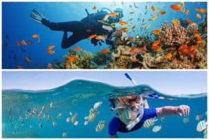 Scuba Diving & Snorkeling