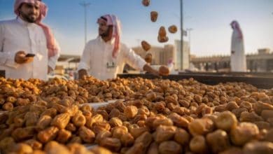 Date markets in Qassim Witness Mounting Demand