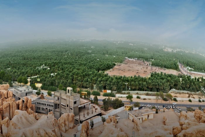  Al-Ahsa Oasis: Hidden Gem of Natural Splendor & Cultural Riches