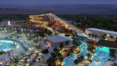 Dab Cave Area in Water Theme Park to Open Next Year