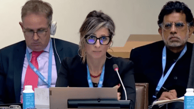 UN Rapporteur: Israel's Acts Reveals Its Intention to Destroy Gaza