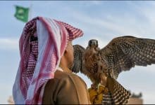 Learn About Most Famous Wild Animals that Settled in Saudi Arabia