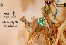 81 Million Riyals Awaits Champions of AlUla Camel Cup