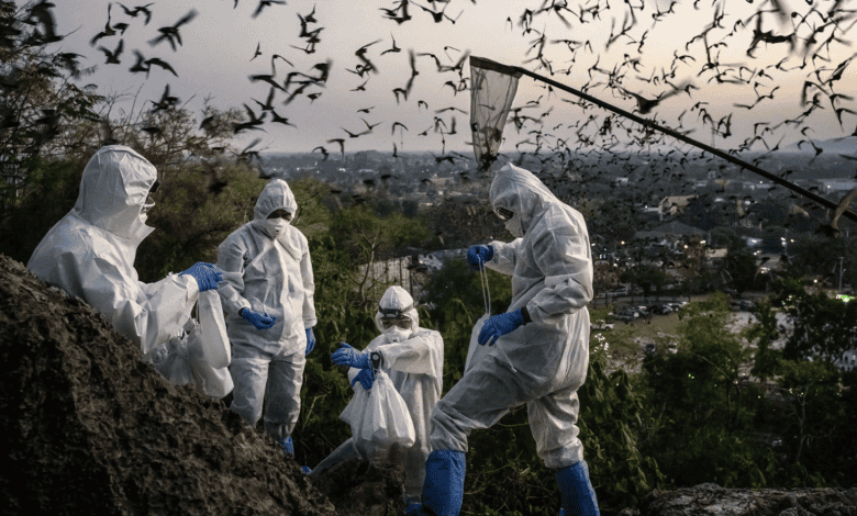 Climate Change and the Threat of Diseases