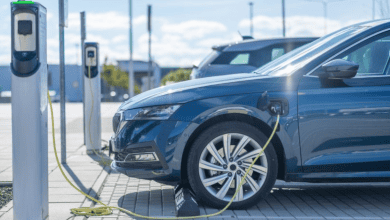 Electric Vehicles: Thriving Market and Overheated Competition