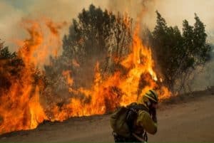 Climate Crisis Grows with Europe Record Numbers of 'Extreme Heat Stress' Days in 2023