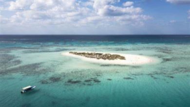 Why Travel To Saudi Arabia's Beaches this Summer?