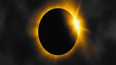 Strange Scenes.... What Will Happen During Solar Eclipse?