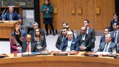 American Veto Prevents Security Council from Granting Palestine Full Membership in United Nations