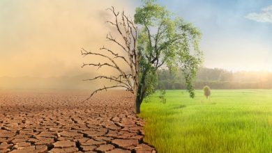 Climate Change Will Cost Economy $38 Trillion a Year by 2049