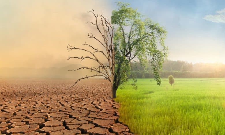 Climate Change Will Cost Economy $38 Trillion a Year by 2049