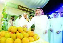 60 Farmers Compete in Mango Festival
