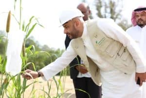 ‘Reef Saudi’ Decreases Harvesting Expenses Up to 90%
