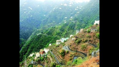 Global Forum: Saudi Arabia1st Arab in Tourism Readiness, Development in 2024