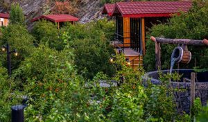 In Photos: Al-Baha Farms Bloom as Tourist Destinations