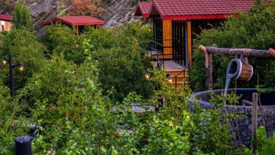 In Photos: Al-Baha Farms Bloom as Tourist Destinations