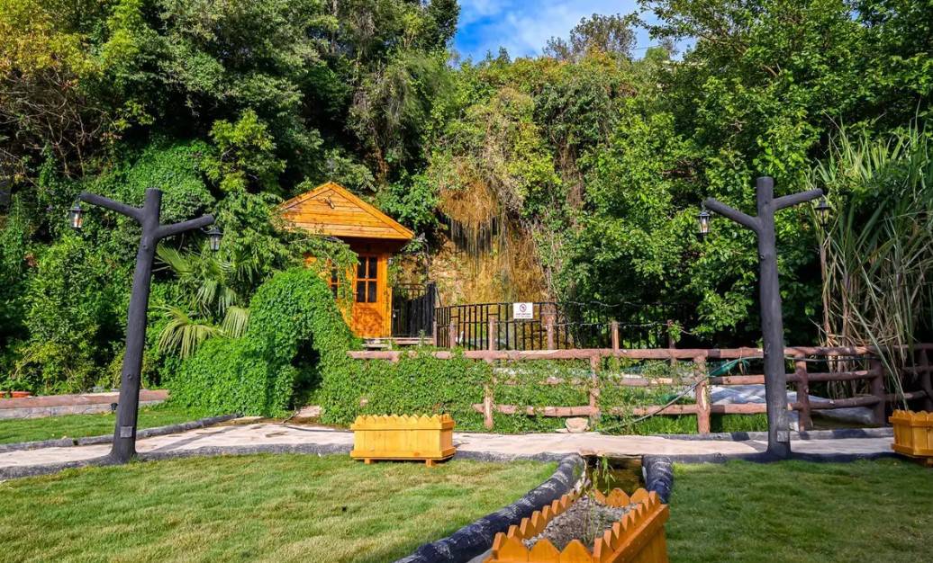 Farms Bloom as Tourist Destinations