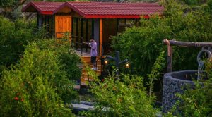 In Photos: Al-Baha Farms Bloom as Tourist Destinations