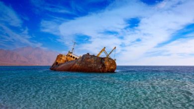 Beaches in Haql Governorate Attract Atract Vacationers