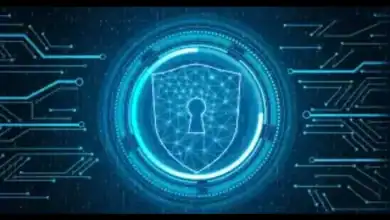 Arab Organization for Communication, Information Technologies Launches Arab Strategy for Cybersecurity