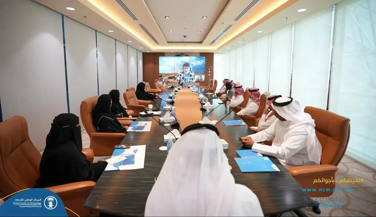 Dust Storms Decline in Saudi Arabia due to Environmental Initiatives 