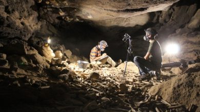 Saudi Geological Survey Aim to Develop Geotourism in Saudi Arabia