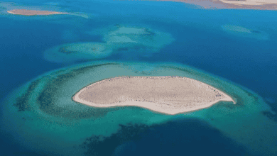 Discover Umluj: The Maldives of Saudi Arabia