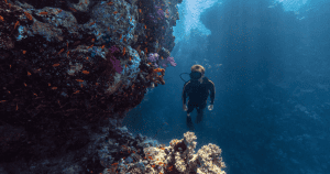 Discover Umluj: The Maldives of Saudi Arabia