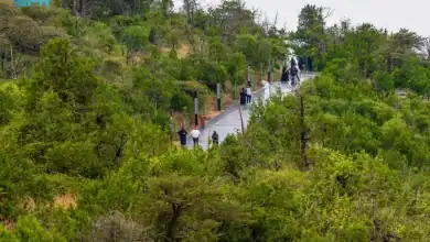 Fog, Rain Showers in Al-Baha Attract Visitors