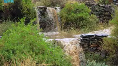 Maysan Features Green Carpets, Waterfalls and Cloudy Skies
