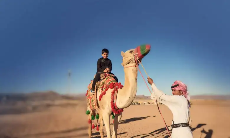 Market Rules: Saudi Arabia Draws New Lines Around Camel Trade