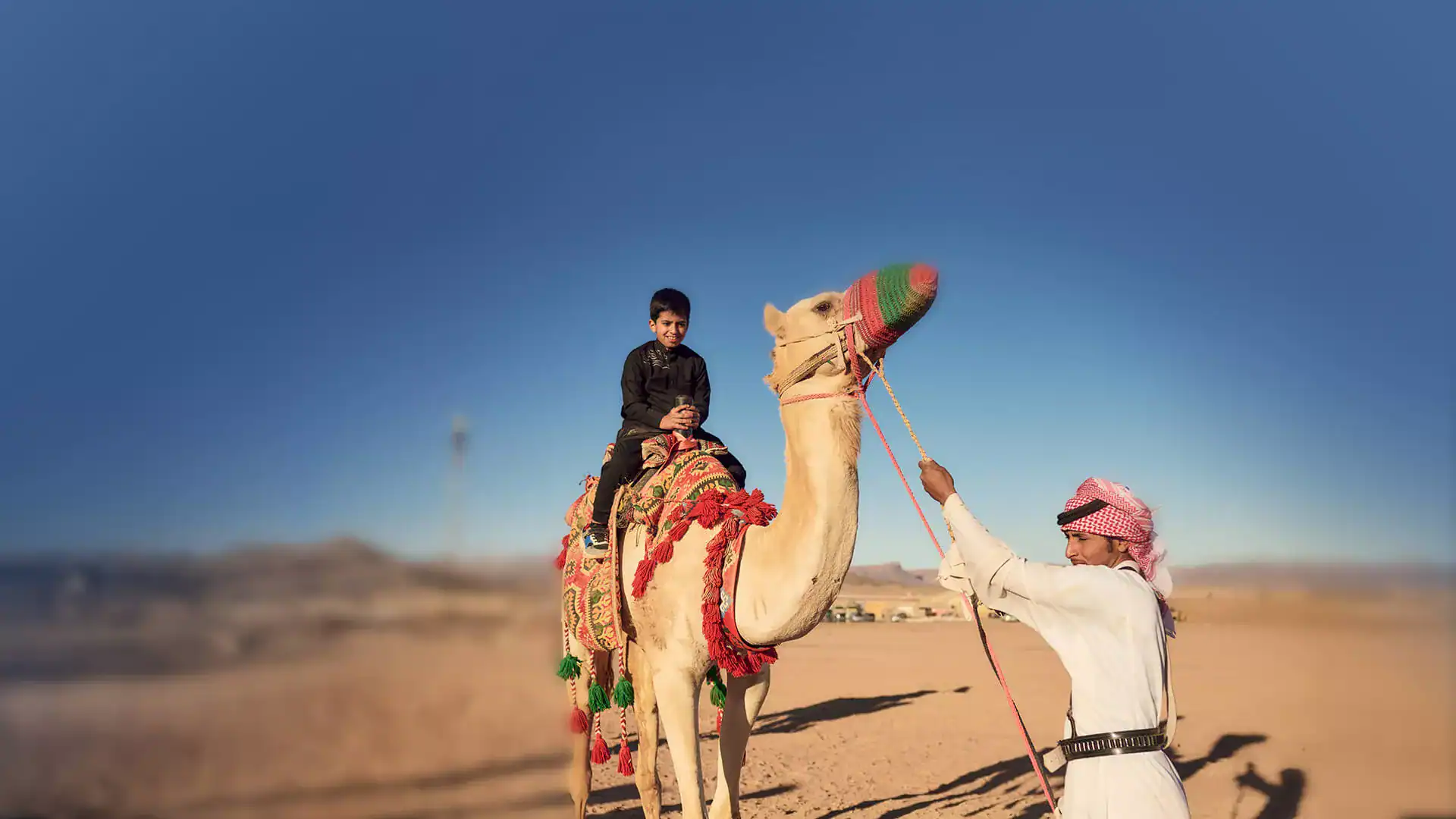 Ahead of the National Day, Saudi Arabia Celebrates Iconic Cultural Years