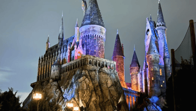 Harry Potter in Riyadh: A Spell of Magic and Entertainment