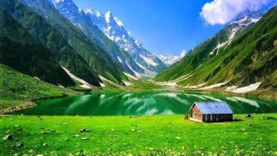 Pakistan Exempts Saudis from Pre-Entry Visa for 90 Days Continuously