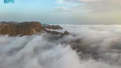 Taif:  Garden in the Sky, Nurtured by Clouds