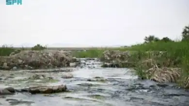 Discover Wadi Arar: Legendary Valley of Northern Kingdom
