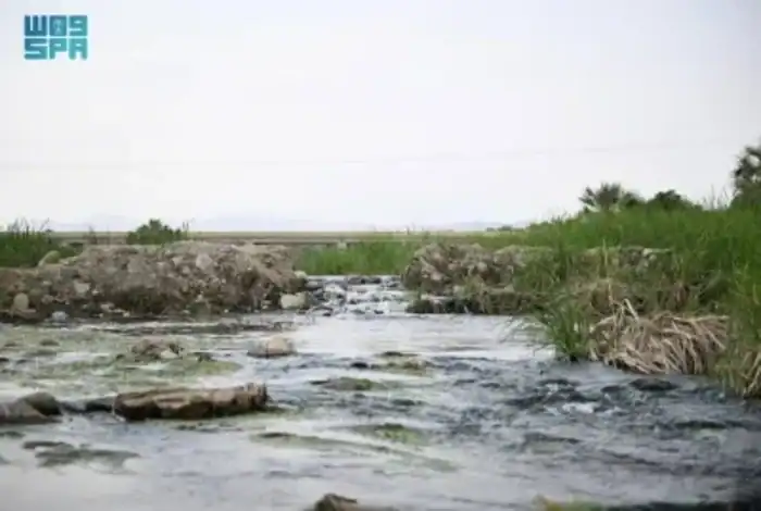 Discover Wadi Arar: Legendary Valley of Northern Kingdom