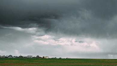 Cloud Seeding: Saudi Arabia Achieves Promising Results