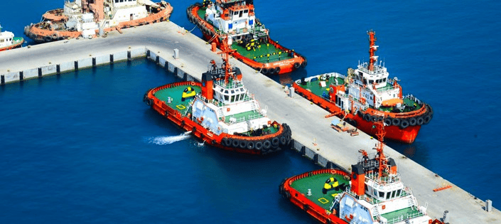 Saudi Arabia Celebrates World Maritime Day 2024 with Parade, Marine Activities