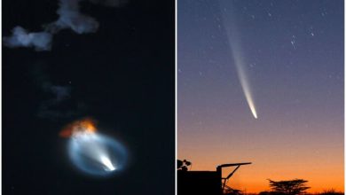 Astronomer Reveals Truth About Comet in Kingdom's Sky
