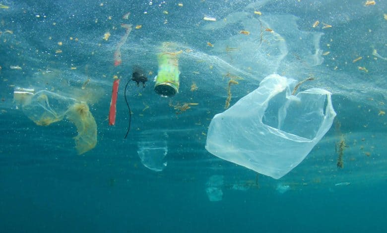 Environmental Crimes