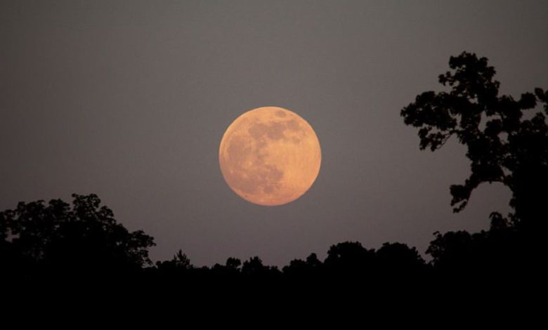 Catch the Hunter's Moon Tonight in Saudi Arabia's Sky