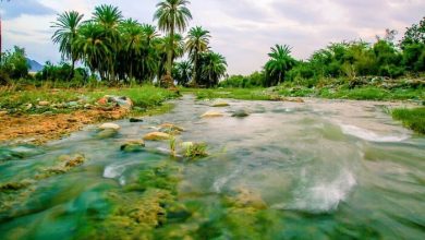 Rain Creates Artistic Painting in Qanona Valley