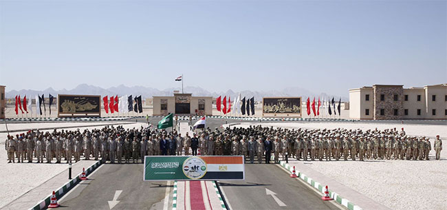 Piercing Arrow 2024 drills