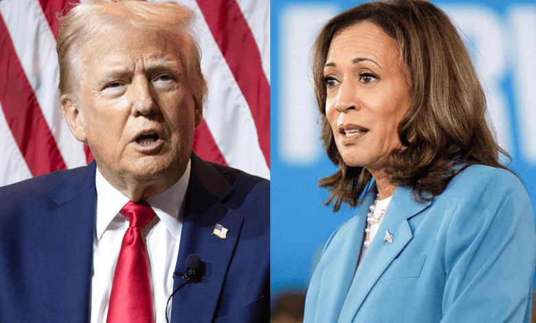 US Election 2024: Foreign Policy Issues at Stake