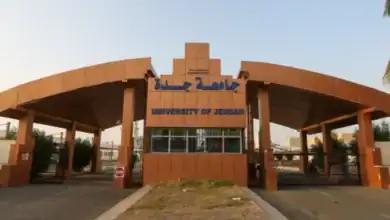 University of Jeddah and Shenzhen Institute Sign MoU in Education