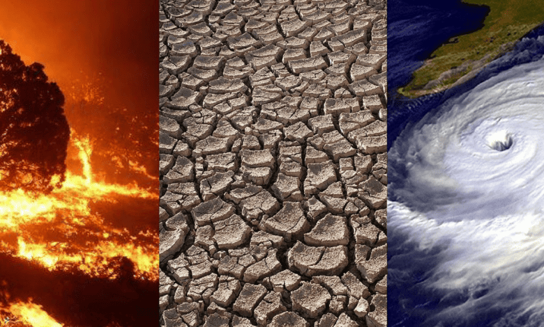Year-end Review: Climate Change Exacerbates Weather Events in 2024